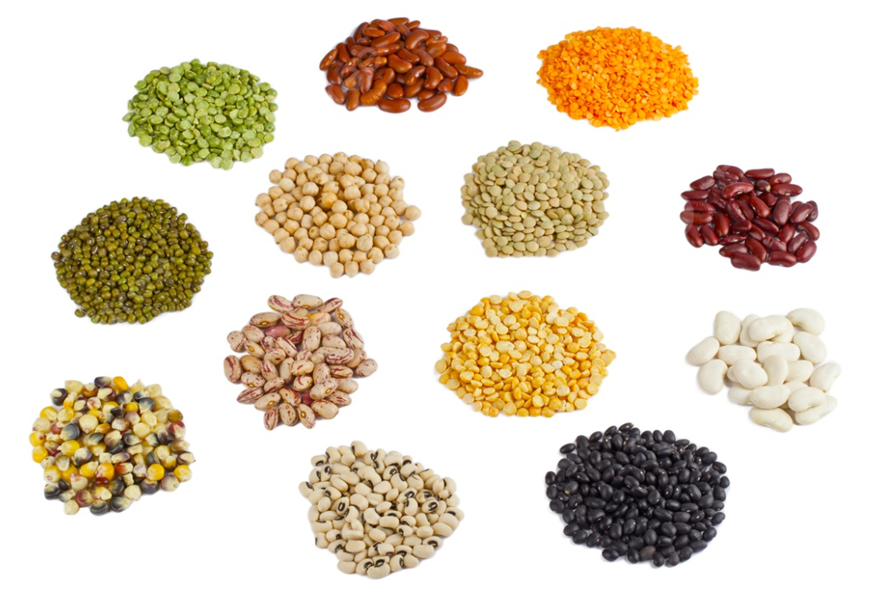 krishna enterprises