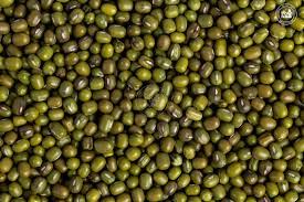 GREEN MOONG WHOLE