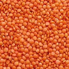 MASOOR DAL