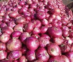 ONION