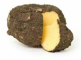 ELEPHANT YAM/SURAN