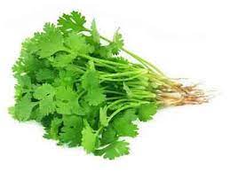 CORIANDER