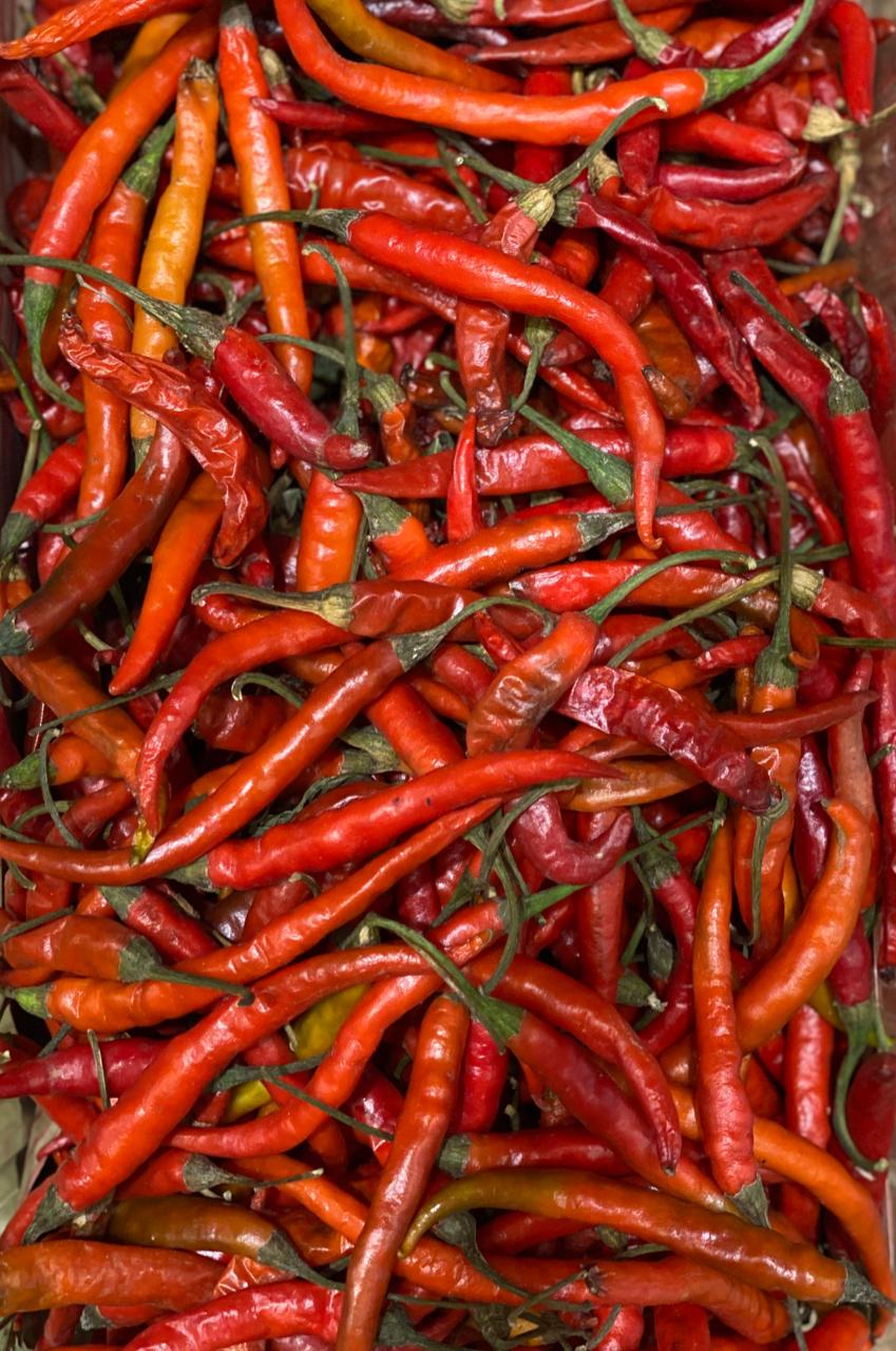 RED CHILLIES